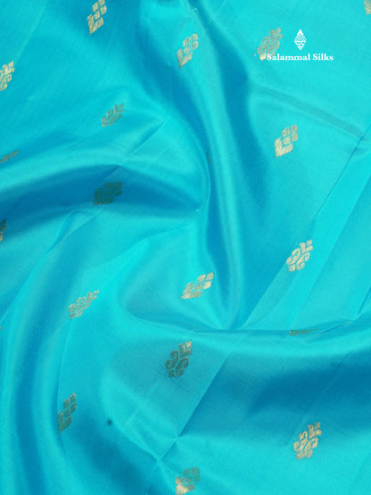 Light Green Pure Kanjivaram Silk Saree With One Side Traditional Border