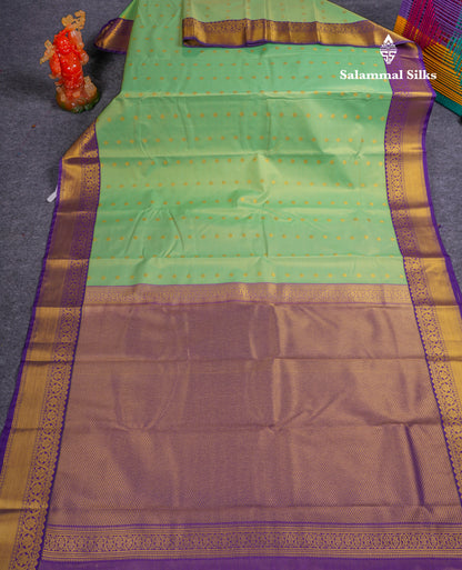 Beautiful Rexona Green Vaira Oosi Lines Semi Silk Saree With Contrast Violet Border
