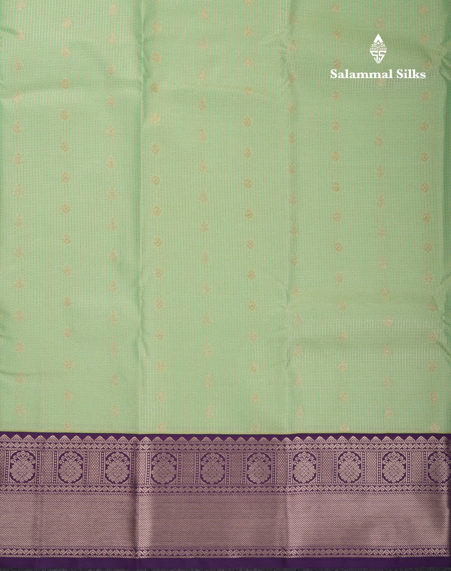 Beautiful Pista Green Vaira Oosi Checks With Butta Semi Silk Saree With Contrast Dark Violet Border
