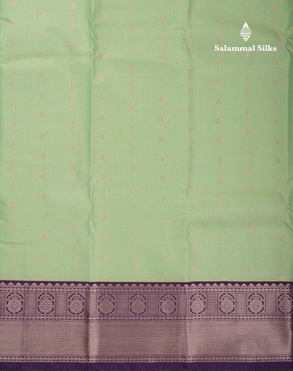 Beautiful Pista Green Vaira Oosi Checks With Butta Semi Silk Saree With Contrast Dark Violet Border
