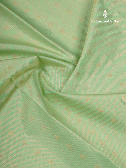 Beautiful Pista Green Vaira Oosi Checks With Butta Semi Silk Saree With Contrast Dark Violet Border