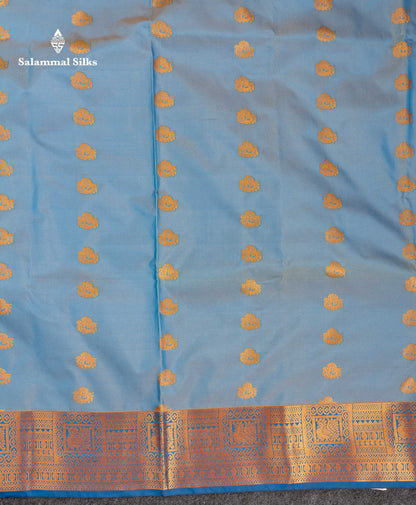 Beautiful Light  Blue Semi Silk Saree With Contrast Peacock Blue Traditional Border