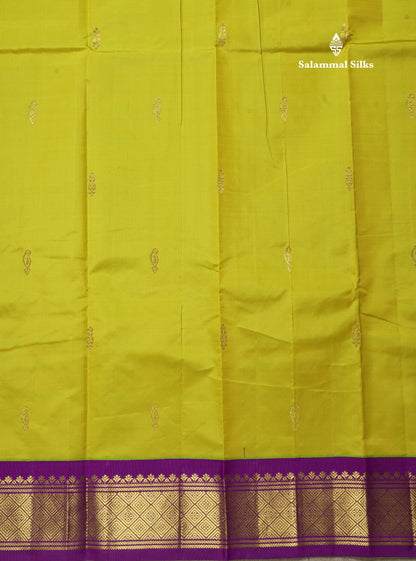 Parrot Green Pure Mix Saree With One Side Contrast Magenta Border