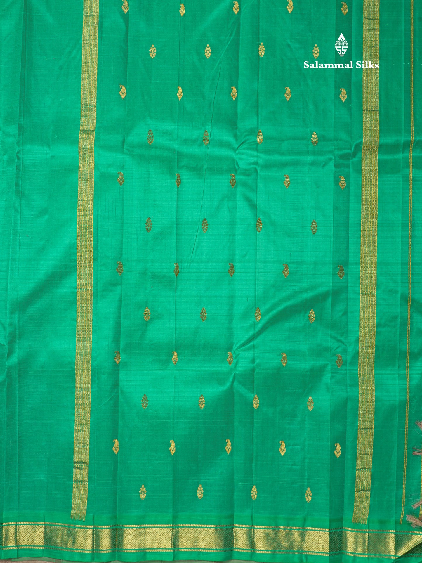Light Chocolate Pure Kanjivaram Silk Saree With Small One Side Contrast Light Rexona Border
