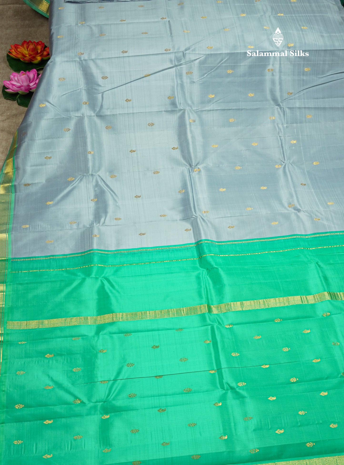 Blueish Grey Pure Kanjivaram Silk Saree With Small One Side Contrast Rexona Border