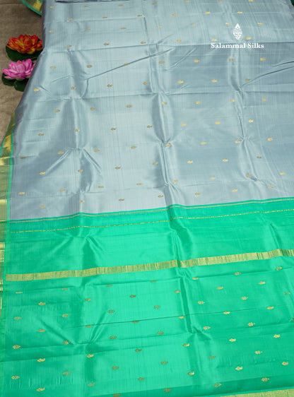 Blueish Grey Pure Kanjivaram Silk Saree With Small One Side Contrast Rexona Border