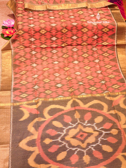 Premium Chocolate Colour Pochampalli Cotton Saree With Gold Zari Border