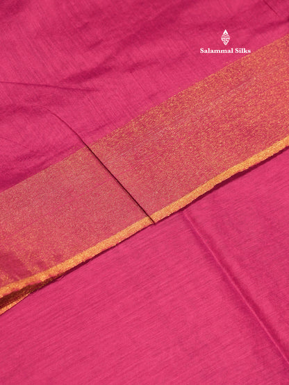 Blue Colour Pochampalli Cotton Saree With Tissue Border