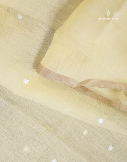 Linen Mix Saree - Light Beige Colour Body With Fancy Embroidery Border