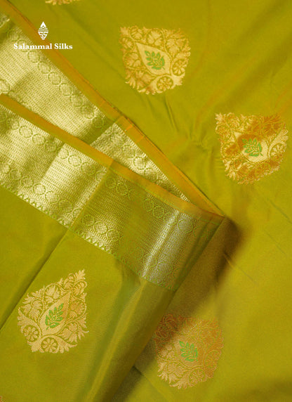 Beautiful Dual Tone Parrot Green Semi Silk Saree With Traditional Evening Morning Border