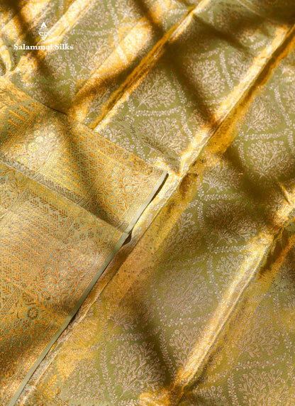 Beautiful Light Green Tissue Bridal Pure Kanjivaram Silk Saree With Contrast Moss Green Fancy Border