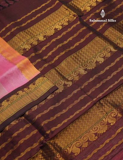 Beautiful Multicolour Pure Silk Cotton Saree With Contrast Dark Brown Traditional Border