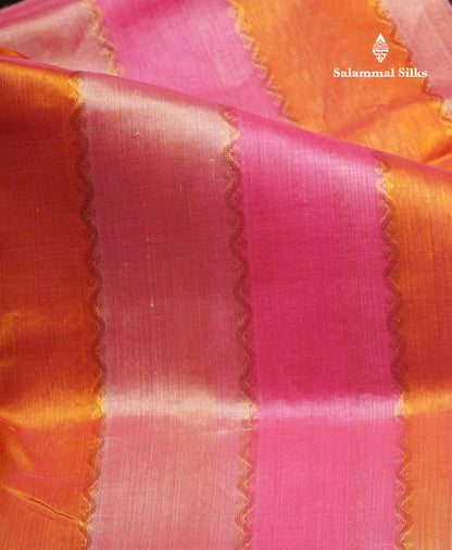 Beautiful Multicolour Pure Silk Cotton Saree With Contrast Dark Brown Traditional Border