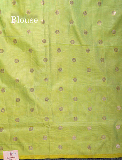 Semi Banaras Saree - Pista Green Colour Body With Fancy Border