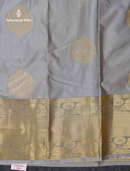 Beautiful Light Grey Semi Silk Saree With Traditional Evening Morning Border