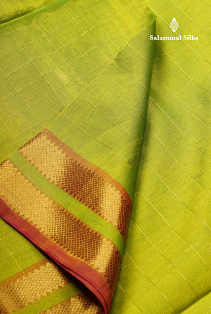 Parrot Green Checks With Butta Pure Silk Cotton Saree With Contrast Magenta Pink Blouse