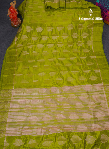 Beautiful Parrot Green Semi Tussar Saree With Fancy Border