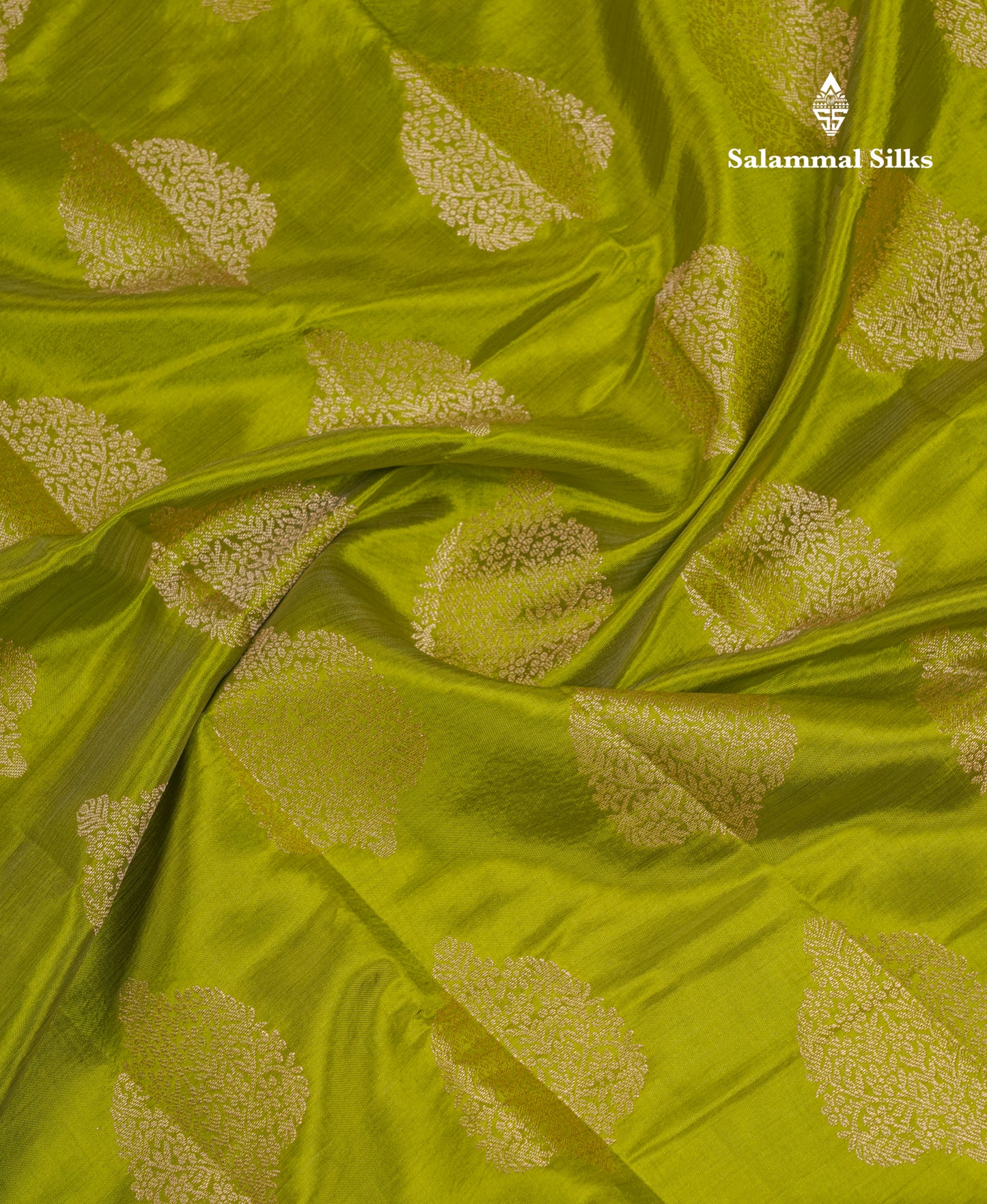 Beautiful Parrot Green Semi Tussar Saree With Fancy Border