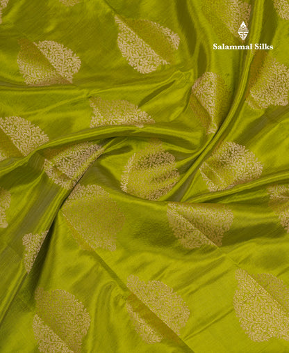 Beautiful Parrot Green Semi Tussar Saree With Fancy Border
