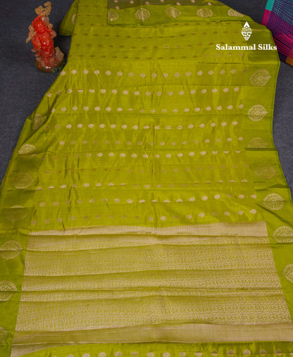 Beautiful Parrot Green Semi Tussar Saree With Fancy Border