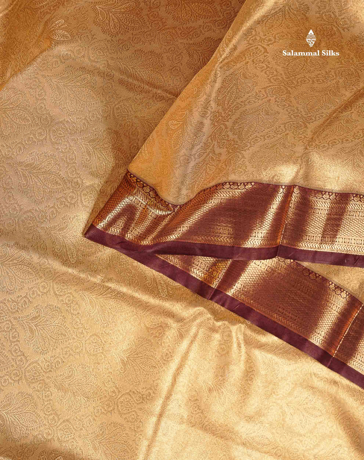 Tissue Bridal Semi Silk Saree - Beige Colour Body With Contrast Dark Brown Border