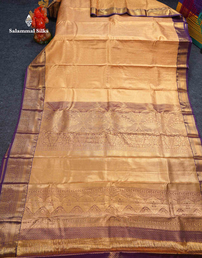 Beautiful Light Peach Tissue Bridal Semi Silk Saree With Contrast Violet Traditional Evening Morning Border