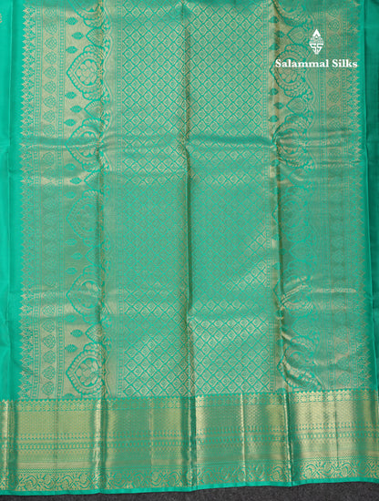 Beautiful Light Rexona Green Pure Kanjivaram Silk Saree With Traditional Evening Morning Border