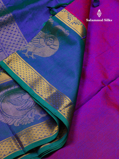 Beautiful Dual Tone Violet Pure Silk Cotton Saree With Contrast Peacock Blue Traditional Evening Morning Border