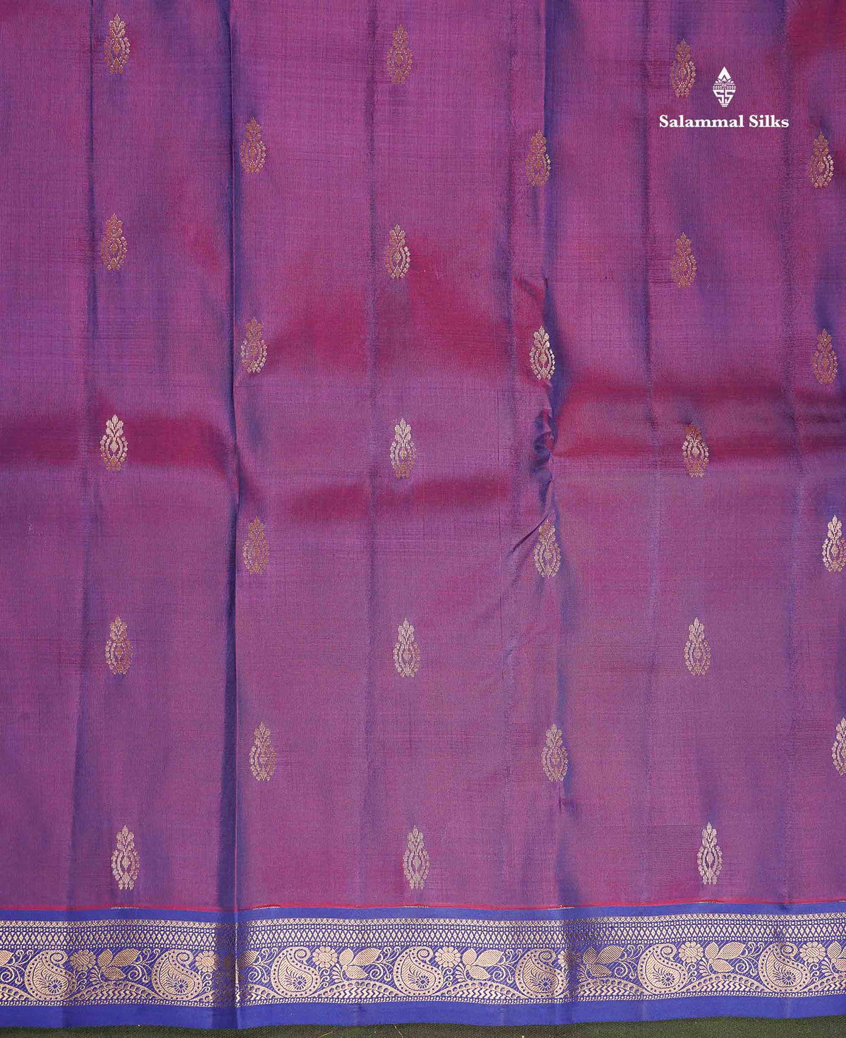 Pure Mix Silk Saree - Dual Tone Green Colour Body With Contrast Violet Small Border