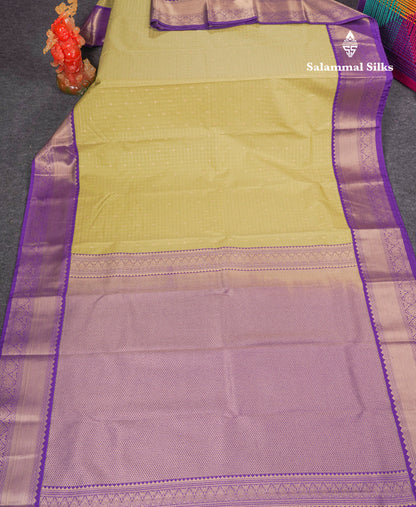 Beautiful Pista Green Zari Checks And Buttas Semi Silk Saree With Contrast Violet Traditional Border