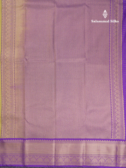 Beautiful Pista Green Zari Checks And Buttas Semi Silk Saree With Contrast Violet Traditional Border