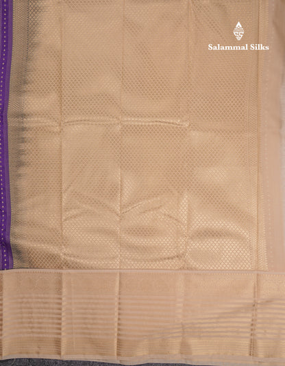 Beautiful Orange Semi Silk Saree With Contrast Cream Sandal Traditional Evening Morning Border