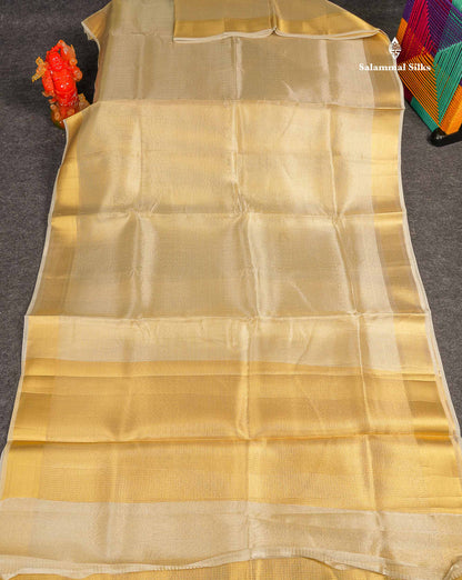 Tissue Saree - Gold Colour Body With Zari Border