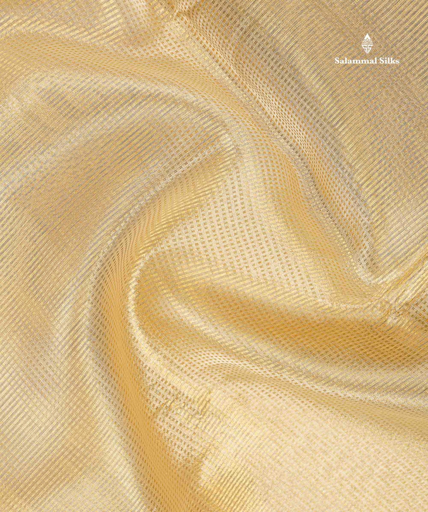 Tissue Saree - Gold Colour Body With Zari Border