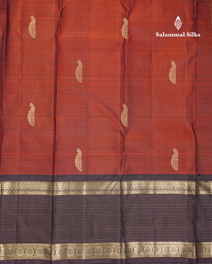 Beautiful Rust Orange Pure Kanjivaram Silk Saree With Contrast Dark Brown Traditional Border