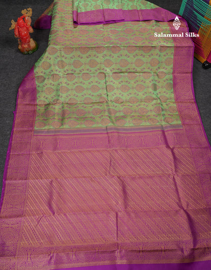 Beautiful Light Green Bridal Pure Kanjivaram Silk Saree With Contrast Vadamalli Traditional Border