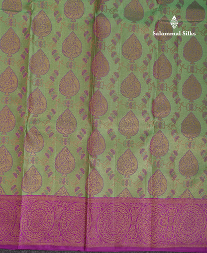 Beautiful Light Green Bridal Pure Kanjivaram Silk Saree With Contrast Vadamalli Traditional Border