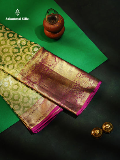 Light Green Tissue Pure Kanjivaram Silk Saree with Contrast Magenta Pink Border