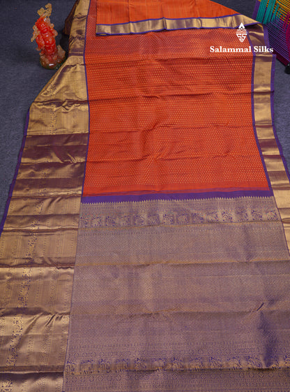 Beautiful Rust Orange Pure Kanjivaram Silk Saree With Contrast Navy Blue Traditional Evening Morning Border