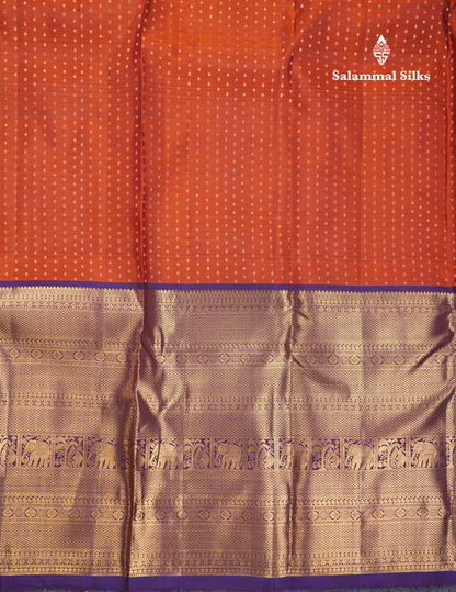 Beautiful Rust Orange Pure Kanjivaram Silk Saree With Contrast Navy Blue Traditional Evening Morning Border
