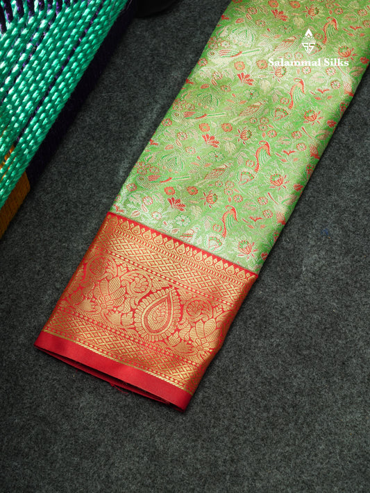 Semi Pattu Pavadai Tissue ( Parrot Green ) With Red Blouse 18"