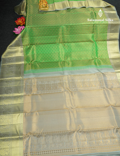 Light Green Bridal Pure Kanjivaram Silk Saree With Contrast Grey Border