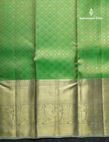 Light Green Bridal Pure Kanjivaram Silk Saree With Contrast Grey Border