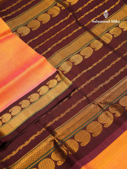 Beautiful Dual Tone Peach Pure Silk Cotton Saree With Contrast Dark Brown Traditional Border