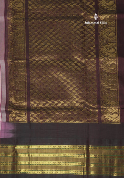 Baby Pink Pure Silk Cotton Saree With Contrast Dark Brown Traditional Temple Border