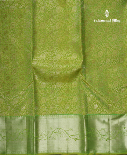 Dual Tone Light Green Bridal Pure Kanjivaram Silk Saree With Contrast Green Border
