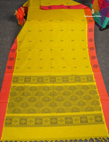 Pure Cotton Saree - Green Colour Body Thread Butta With Contrast Pink Border