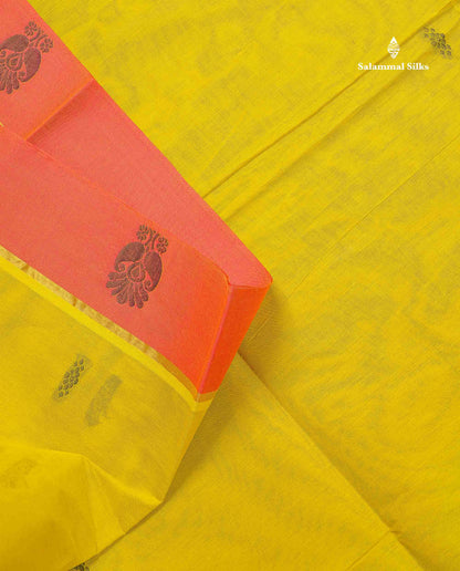 Pure Cotton Saree - Green Colour Body Thread Butta With Contrast Pink Border