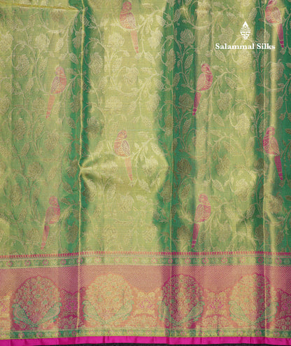 Rexona Tissue Bridal Pure Kanjivaram Silk Saree With Pink Paithani Border