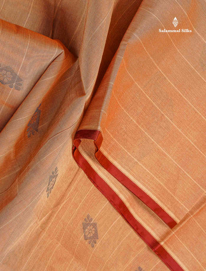 Pure Cotton Saree - Light Brown Colour Body Lines With Fancy Thread Work Buttas